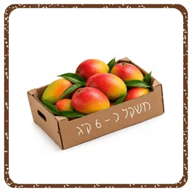 ארגז מנגו