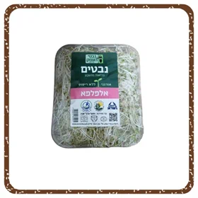 נבטי אלפלפא