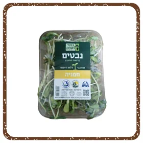 נבטי חמניה
