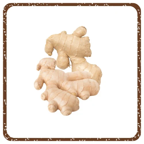 גינגר בתפזורת