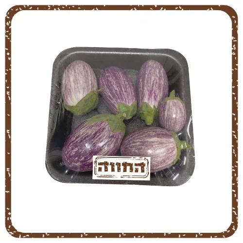 חצילון מנומר