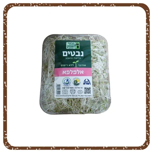 נבטי אלפלפא