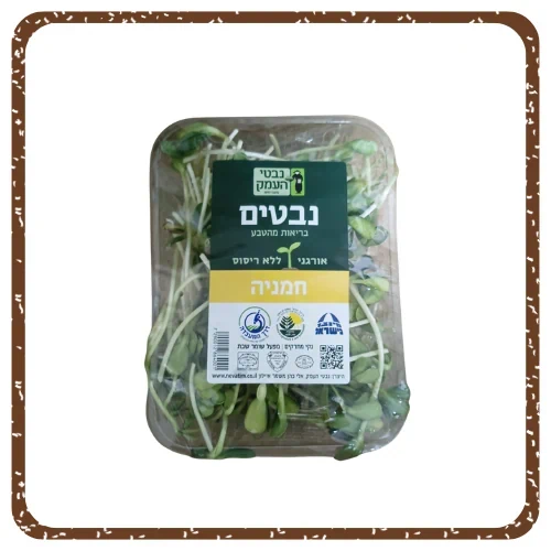 נבטי חמניה