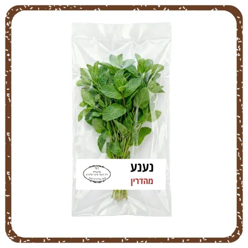 נענע מהדרין