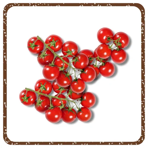 עגבניות אשכולות