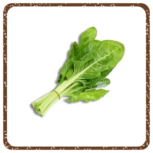 עלי סלק / מנגולד