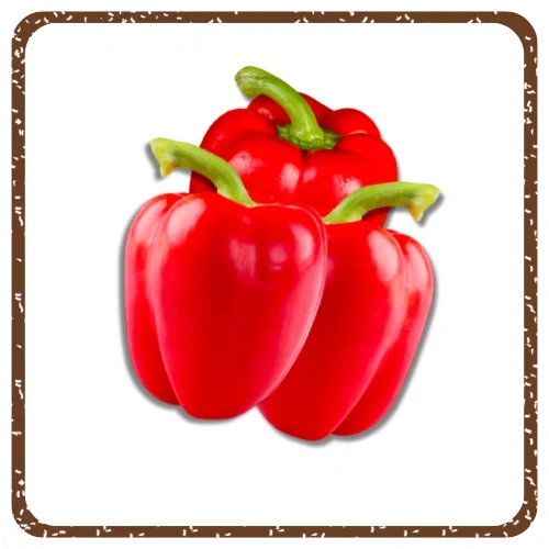 פלפל אדום