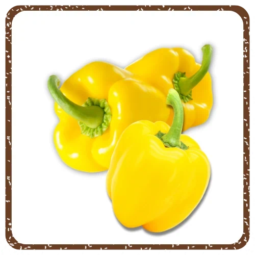 פלפל צהוב