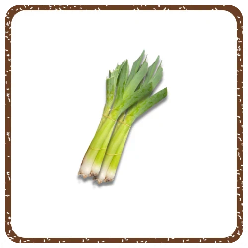 פראסה / כרישה