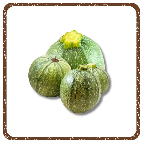 קישוא בלאדי