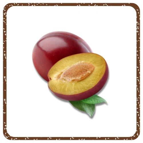 שזיפים