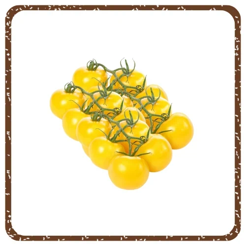 עגבניות שרי צהובות