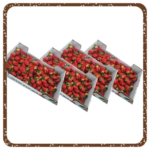 תות שדה בתפזורת (כ-4 קילו)